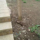 Wincanton Garden 3.jpg