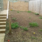 Wincanton Garden.jpg