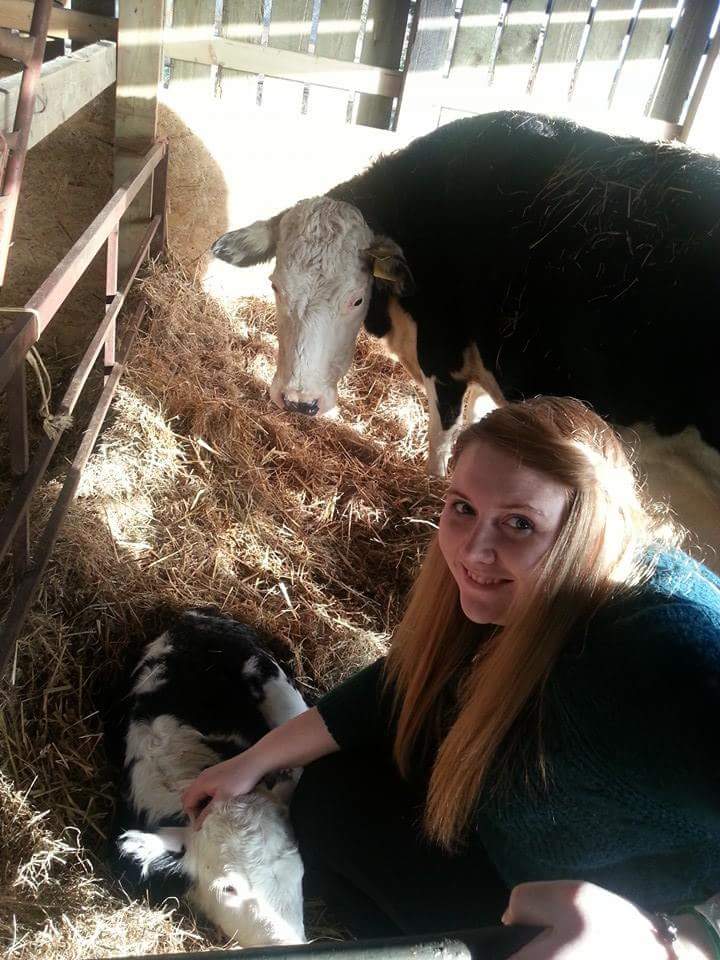 Meet the team - Katie Barber